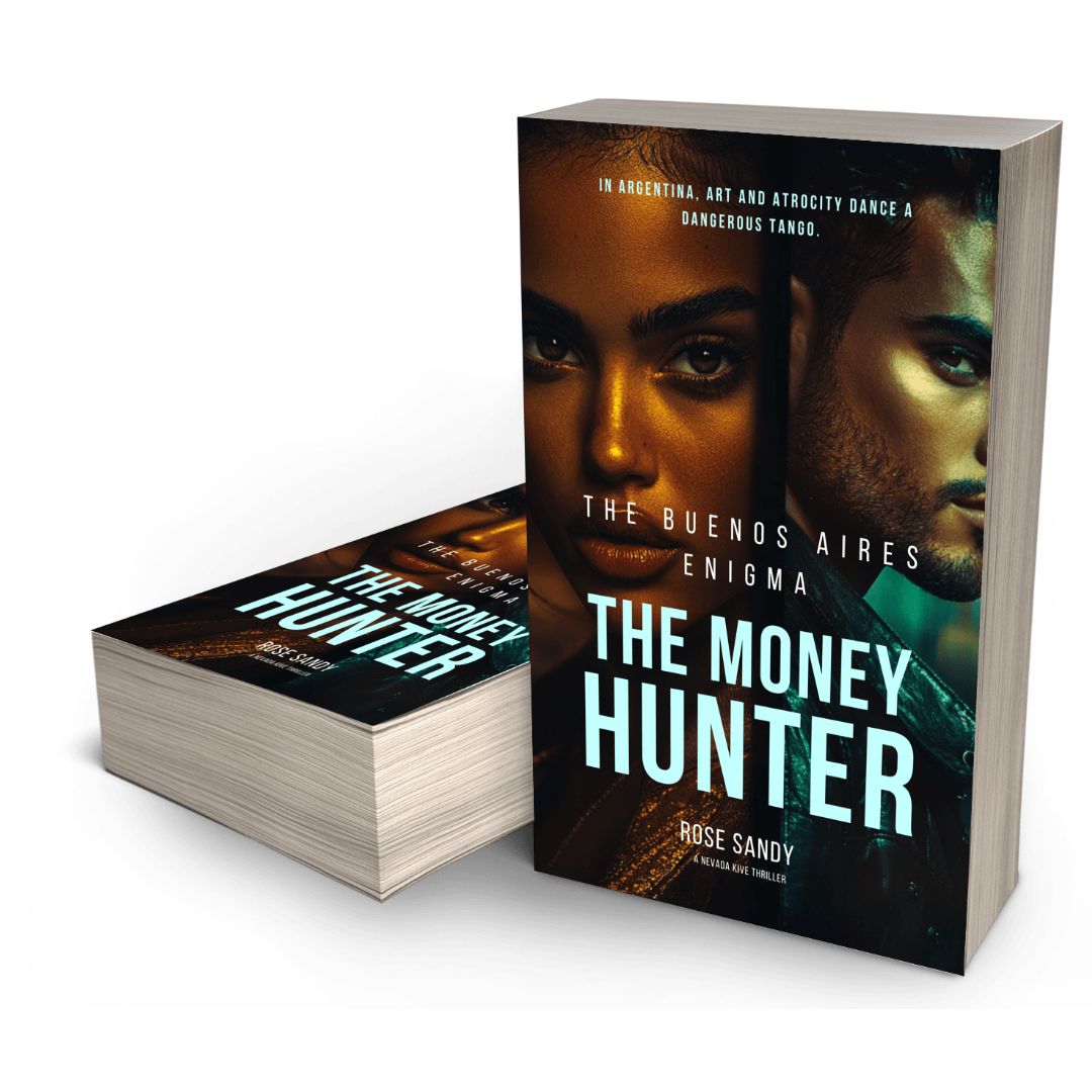 Buenos Aires Enigma: The Money Hunter Series, Book 12 - Rose Sandy