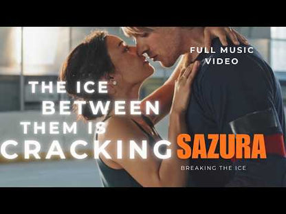 Breaking the Ice: The Audrey Stone Havenbrook Romance Series, Book 26